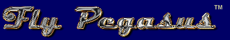 Enter the Web Site